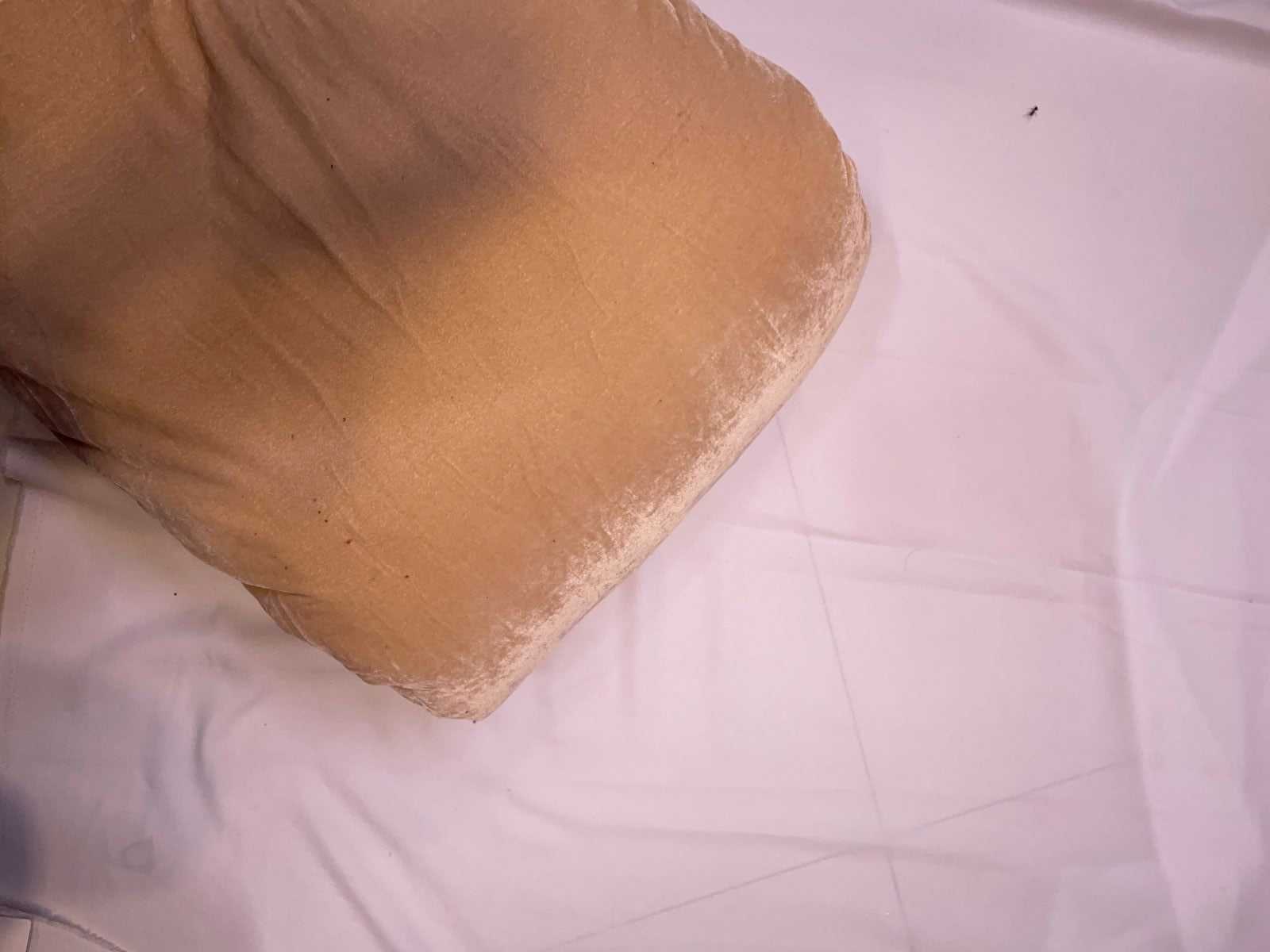 Light Peach Plain Velvet Fabric KTEX