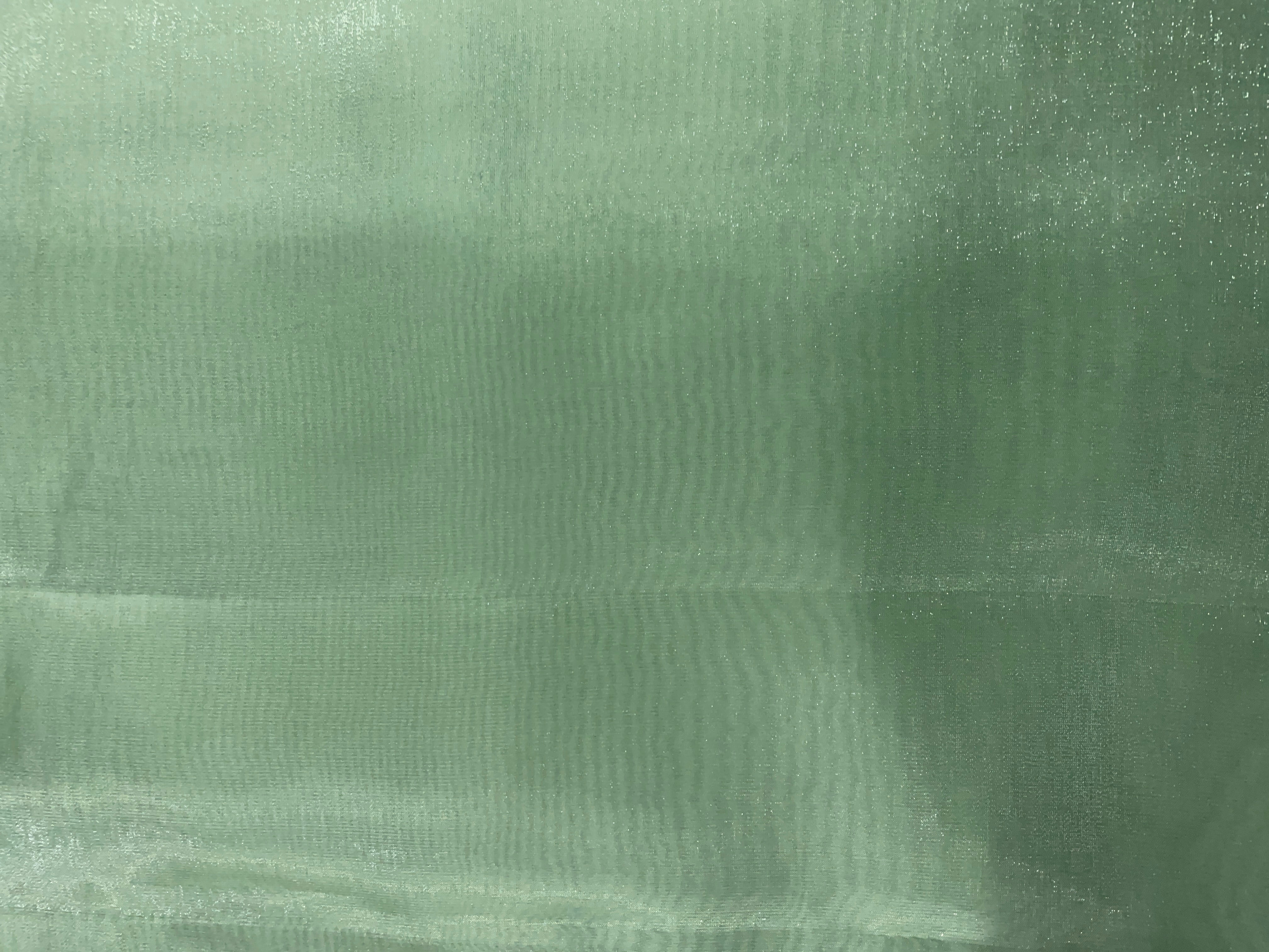 Light Mint Green Plain Jimmy Choo Organza Fabric