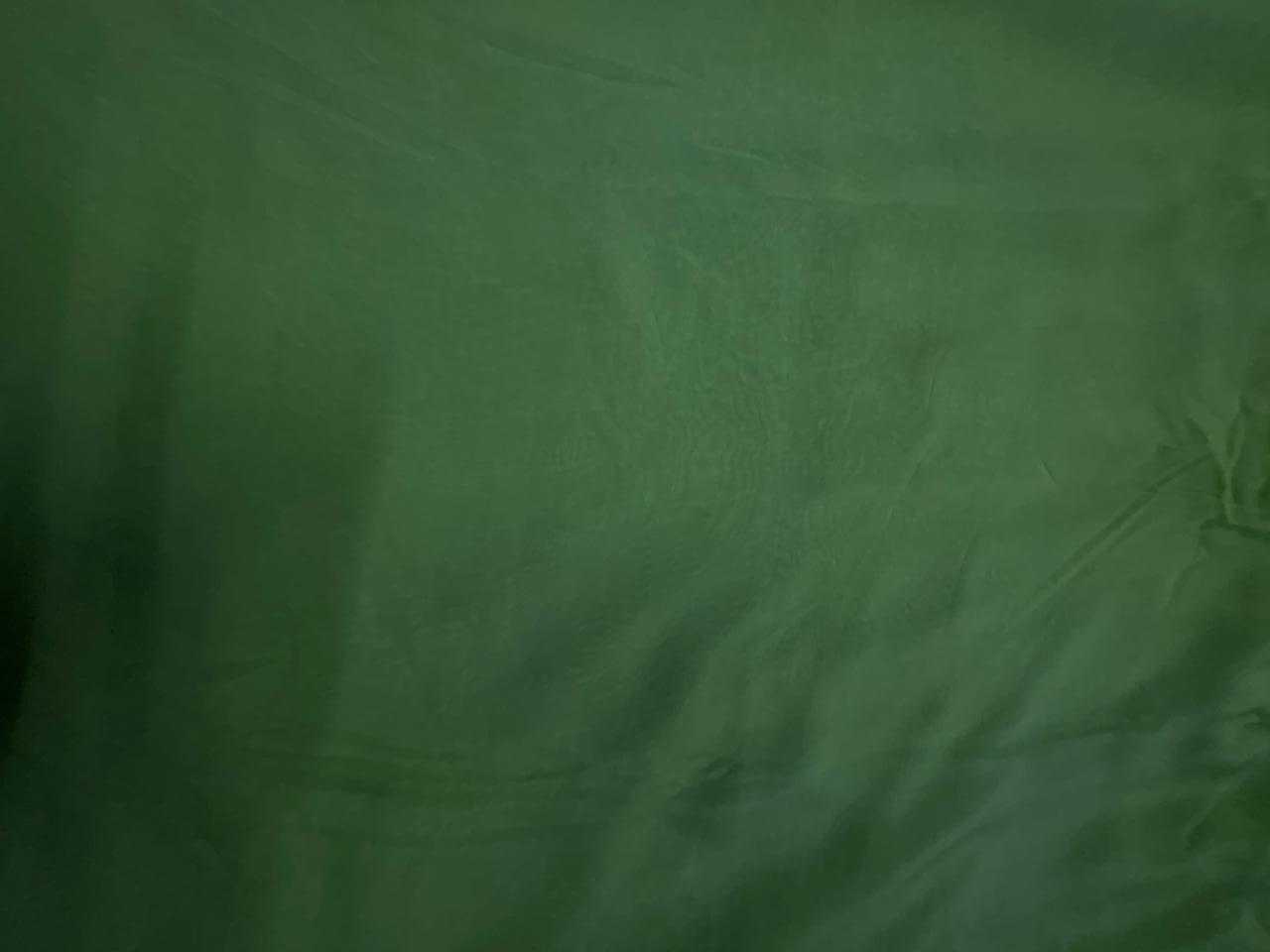 Sea Green Viscose Organza Fabric KTEX
