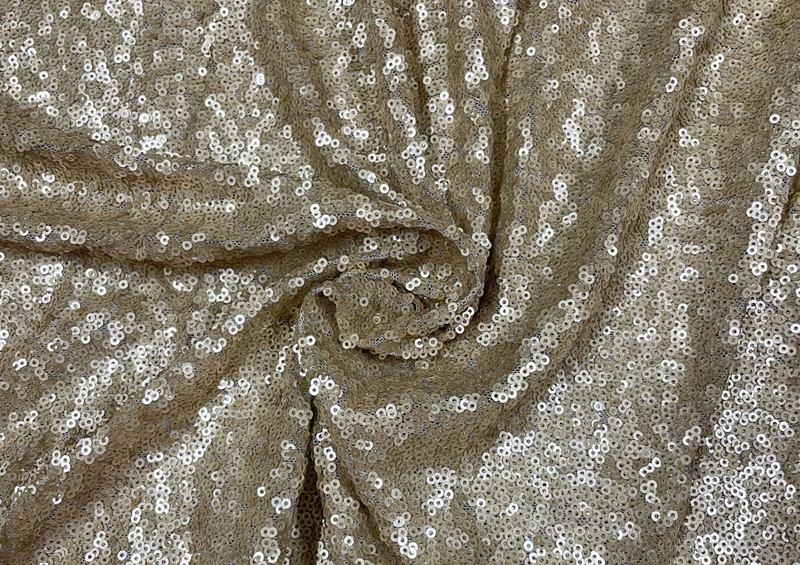 Embroidered Net Golden Sequins 1